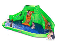 Cá sấu tùy chỉnh chủ đề Trượt nước Splash Splash Chơi PVC cho trẻ em