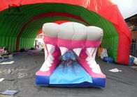 Trượt PVC Shark Shark, Tùy chỉnh tuyệt vời ly kỳ Mini City Slide