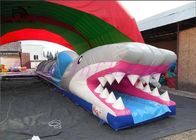 Trượt PVC Shark Shark, Tùy chỉnh tuyệt vời ly kỳ Mini City Slide