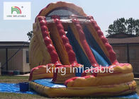 Trượt lớn đầy màu sắc khô / Bounce House của trẻ em với Slide