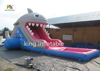 Trượt nước cá mập cao 6m với bể bơi Trượt nhỏ cho trẻ em