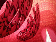Quảng cáo Mô phỏng Vải nylon Mô hình lồng ngực cho y tế Hiển thị CE CE UL