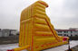 Custom Fire Ice Color Inflatable Water Slide With Pool For Kids / Rental Business