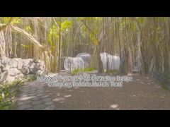 Lều khách sạn Bubble House