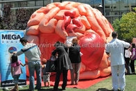 Lều mô hình bộ não bơm hơi Triển lãm hội nghị y tế bơm hơi - Mega Brain