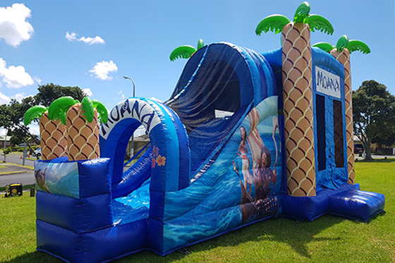 Lâu đài Bơm hơi Bouncy Castle Người lớn ngoài trời Trẻ em nhảy Bounce House Với Cầu trượt Cho thuê