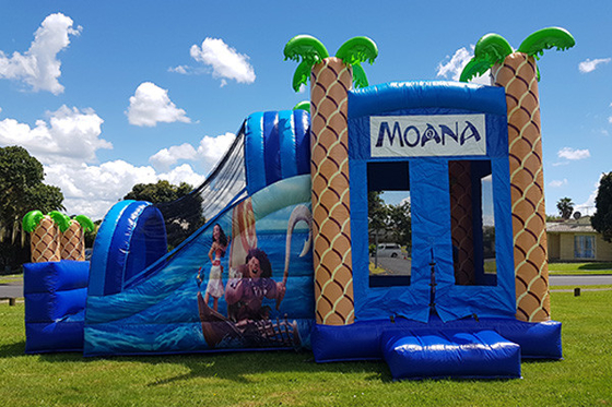 Lâu đài Bơm hơi Bouncy Castle Người lớn ngoài trời Trẻ em nhảy Bounce House Với Cầu trượt Cho thuê