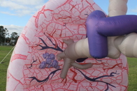 Quảng cáo mô hình phổi bơm hơi khổng lồ cho các sự kiện triển lãm y tế