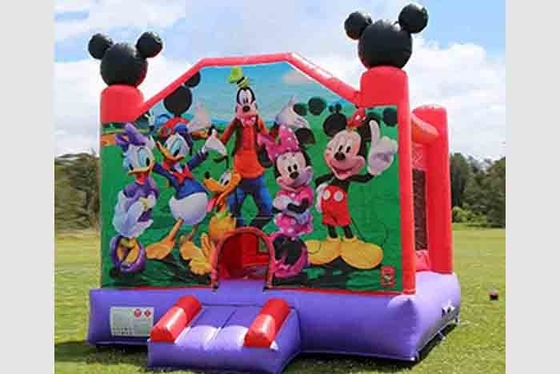 Lâu đài Bouncy thương mại dành cho người lớn Tiệc ngoài trời Bán trong nhà Trẻ em Lâu đài Bouncy bơm hơi
