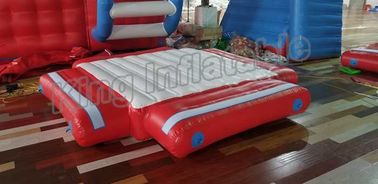 Crazy Fun Seal Hàn thương mại Công viên nước bơm hơi với máy bơm không khí và bộ sửa chữa