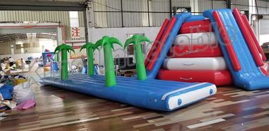Crazy Fun Seal Hàn thương mại Công viên nước bơm hơi với máy bơm không khí và bộ sửa chữa