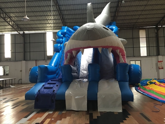 Đường trượt nước ngoài sân sau cá mập Đường trượt nước bơm cho trẻ em và người lớn