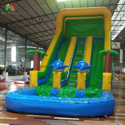 Đường trượt nước lớn có thể thổi với cầu vồng Đường trượt nước hai làn với hồ bơi cho người lớn