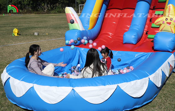 Water Slide PVC thương mại Bánh trượt nước bơm cho trẻ em Bánh trượt bơm với bể bơi ướt khô Bánh trượt người lớn