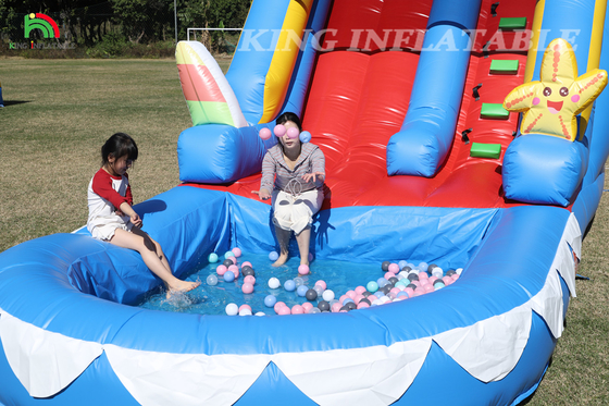 Water Slide PVC thương mại Bánh trượt nước bơm cho trẻ em Bánh trượt bơm với bể bơi ướt khô Bánh trượt người lớn