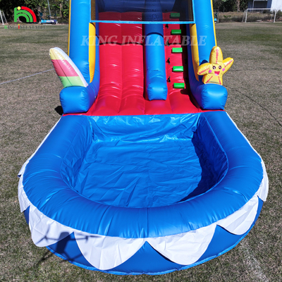 Water Slide PVC thương mại Bánh trượt nước bơm cho trẻ em Bánh trượt bơm với bể bơi ướt khô Bánh trượt người lớn