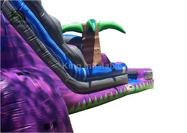 Dual Lane Trượt nước PVC 0,6mm với hồ bơi 30ft màu tím cho mùa hè