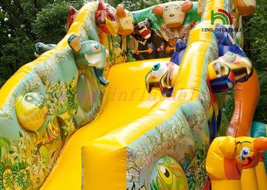 Công viên giải trí đa sắc màu hoang dã / Chủ đề rừng nhiệt đới PVC Combo Công viên giải trí