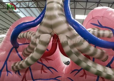 Xác thịt mô phỏng phổi mô hình phổi cho nghiên cứu y học