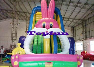 Trượt tuyết lớn thỏ trắng