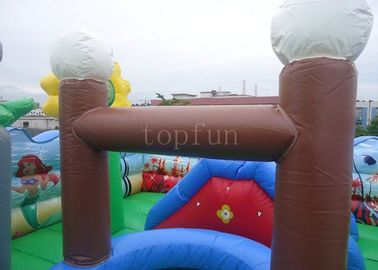 Cho thuê thương mại Công viên giải trí bơm hơi, bạt PVC đại dương