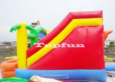 20feet bơm hơi Castle Castle Bouncer với cầu trượt bóng