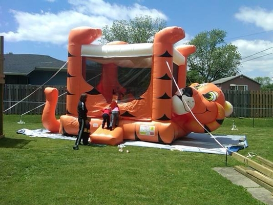 PVC tráng phim hoạt hình hổ lâu đài bơm hơi Bouncer Castle thổi lên lâu đài nhảy