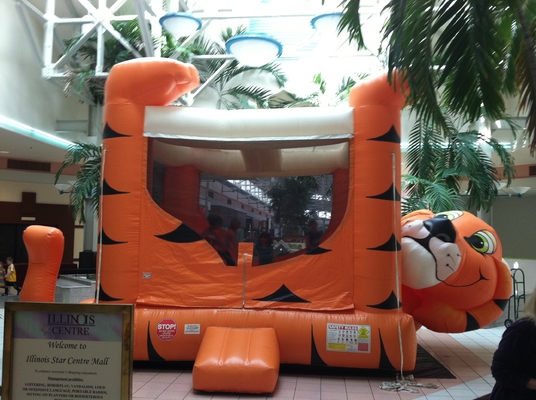 PVC tráng phim hoạt hình hổ lâu đài bơm hơi Bouncer Castle thổi lên lâu đài nhảy